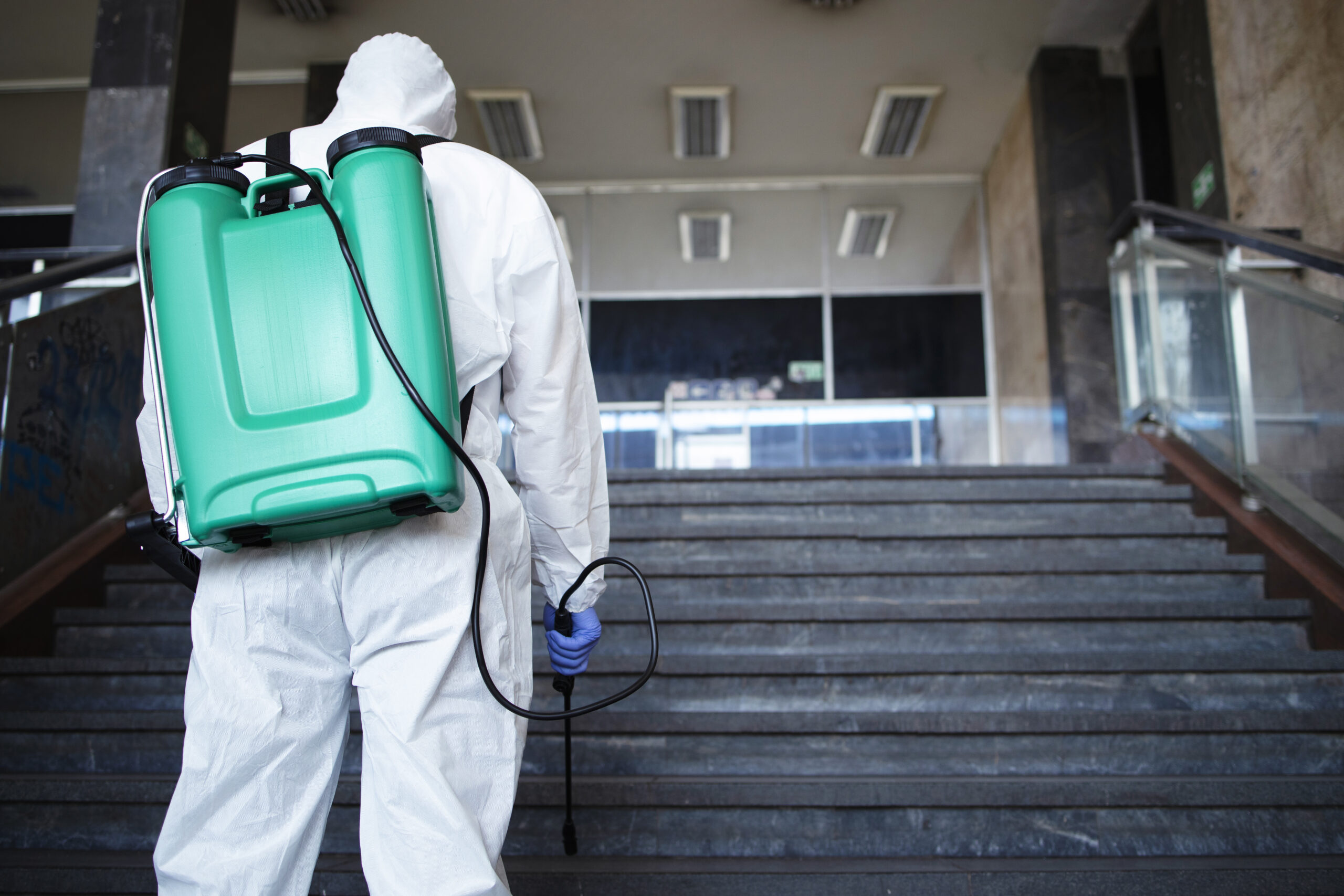 Pest Control in Schools Shielding Children's Health and Education