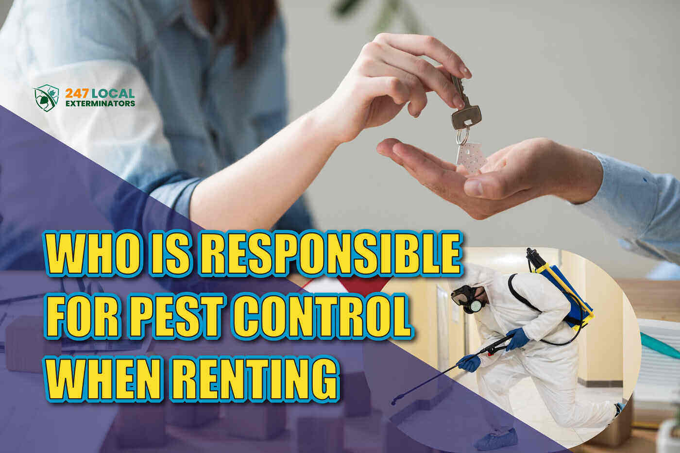 who is responsible for pest control when renting