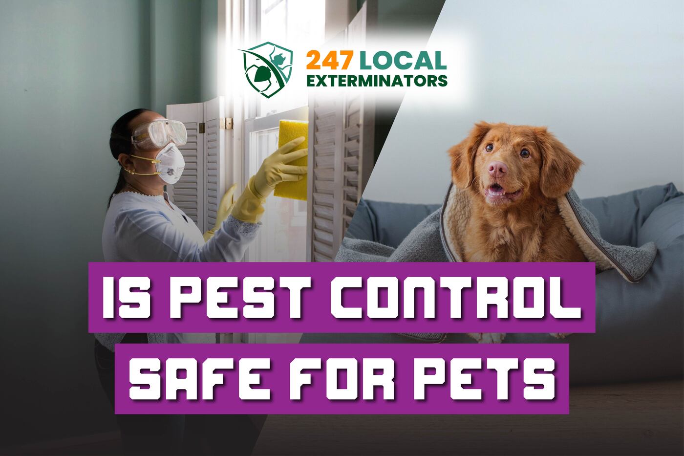 Is pest control safe for pets